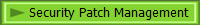 Security Patch Management