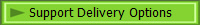 Support Delivery Options
